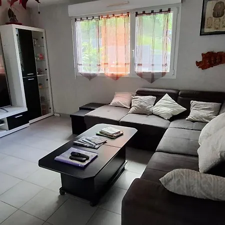 Modernite Et Nature Avec Piscine * Sainte-Marie-aux-Mines