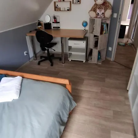 Modernite Et Nature Avec Piscine Sainte-Marie-aux-Mines